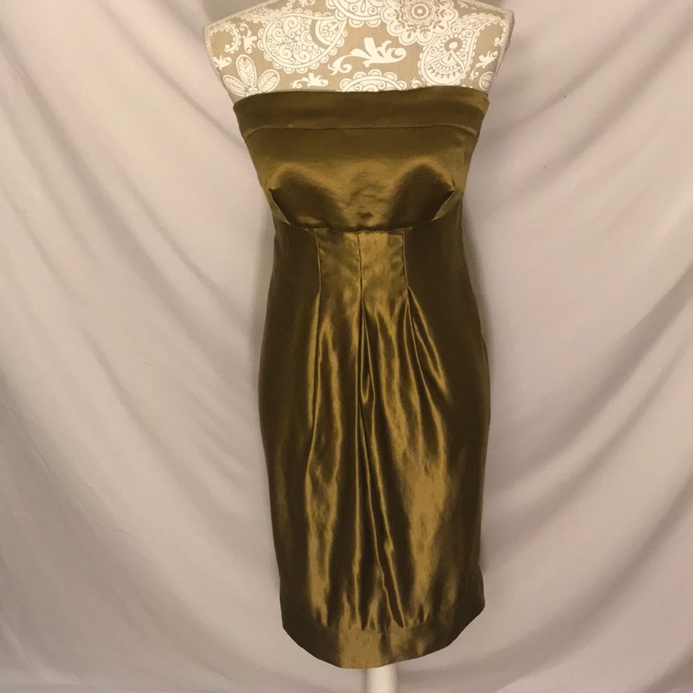 EcoSkin Bronze, Satin, Strapless, Empire Dress